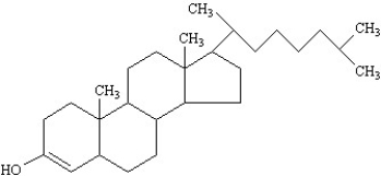 <strong> </strong> A)steroid B)glycerophospholipid C)wax D)triacylglycerol E)prostaglandin