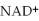 <strong>Which coenzyme is reduced in the following reaction? </strong> A)FAD B) C)CoQ D)NADH E)