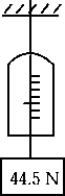 <strong>A 44.5-N weight is hung on a spring scale,and the scale is hung on a string.The string is lowered at a rate such that the entire assembly has a downward acceleration of 4.90 m/s<sup>2</sup>.The scale reads </strong> A)0 N B)22.2 N C)44.5 N D)66.7 N E)71.2 N