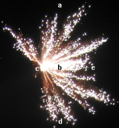 <strong>The picture on the right shows an exploding firework high up in the air,just after the firework has come to a rest.Which point best describe the center of mass of the explosion? Picture by H.K.Ng</strong> A)a B)b C)c D)d E)e