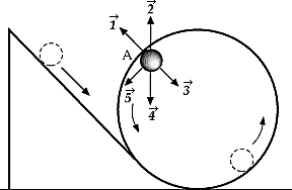 <strong>The ball shown in the figure will loop-the-loop if it starts from a point high enough on the incline.When the ball is at point A,the centripetal force on it is best represented by which of the following vectors? </strong> A) B) C) D) E)