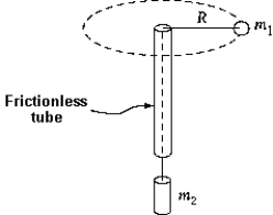 <strong>A ball of mass m<sub>1</sub>,connected to another mass m<sub>2</sub> by a string,is whirled at a constant speed in a horizontal circle of radius R equal to 0.800m.If the mass m<sub>2</sub> = 5.00 kg,the kinetic energy of the ball is </strong> A)0.981 J B)2.45 J C)4.90 J D)19.6 J E)39.2 J