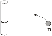 <strong>Use the figure to the right to answer the next problem. A ball of mass of mass m is tied with a light string to a vertical post of radius R<sub>p</sub> and slides on a frictionless horizontal surface. As the ball travels around the post, the string wraps around the post, shortening the length. At t = 0 s, its speed is v<sub>o</sub> and radius is r<sub>o</sub>. What is the angular momentum of the ball after the string has wrapped once around the post?</strong> A) B) C) D) E)cannot be determined