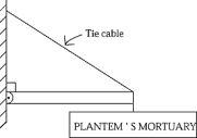 <strong>The sign in the figure weighs 200 N.The boom is of uniform construction.If the force exerted by the hinge on the boom is 300 N and acts at an angle of 20º above the horizontal,the weight of the boom is </strong> A)~250 N B)~540 N C)~460 N D)~413 N E)None of these is correct.