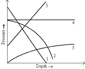 <strong>Which curve best represents the variation in pressure with depth in a fluid,assuming constant density? </strong> A)1 B)2 C)3 D)4 E)5