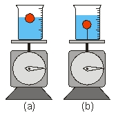 <strong>Two identical beakers are filled with the same amount of water.A ball of mass m is placed in the first beaker so that it floats on the surface while a second identical ball is placed in the second beaker but tied with a string of negligible mass so that the ball is completely submerged.Each beaker is then placed on a scale.Which scale has a higher reading? </strong> A)(a) B)(b) C)the same D)depends on how far the ball is submerged in (b) E)unable to tell