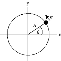<strong>Use the following to answer the question: -The object in the diagram is in circular motion with frequency f.At t = 0 it was at (A,0).The y component of its acceleration is given by</strong> A)a<sub>y</sub> = (v<sub>y</sub> - v<sub>0</sub><sub>y</sub>)/t B)a<sub>y</sub> = -(2 \pi f)<sup>2</sup>A cos 2 \pi ft C)a<sub>y</sub> = -(2 \pi )<sup>2</sup>A sin 2 \pi t D)a<sub>y</sub> = -(2 \pi f)<sup>2</sup>A sin 2 \pi ft E)a<sub>y</sub> = -(2 \pi )<sup>2</sup>A cos 2 \pi t