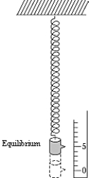 <strong>A mass of 2.00 kg suspended from a spring 100 cm long is pulled down 4.00 cm from its equilibrium position and released.The amplitude of vibration of the resulting simple harmonic motion is </strong> A)4.00 cm B)2.00 cm C)8.00 cm D)1.04 cm E)1.02 cm