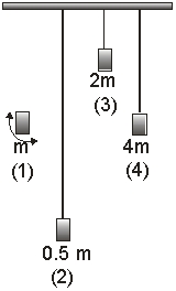 <strong>Four pendulums are hung from a light rod that is free to rotate about its long axis.The pendulums have lengths L,2L,L/2 and L,and masses m,m/2,2m and 4m respectively.Pendulum 1 is set to swing at its natural frequency.Which of the other three will,over time,also oscillate at the same frequency? </strong> A)(2) B)(3) C)(4) D)(2)and (3) E)all three