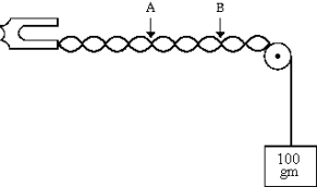 <strong>In a vibrating-string experiment,three loops are observed between points A and B when the mass on one end of the string is 100 g.The number of loops between A and B can be changed to two by replacing the 100-g mass with a mass of </strong> A)150 g B)225 g C)44.4 g D)66.7 g E)300 g