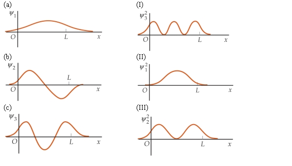 Match each of the wave function on the left for a particle in a finite square well with the corresponding probability distributions on the right,in the order (a),(b),and (c).