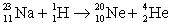 <strong>Which of these nuclear reactions is possible?</strong> A) B) C) D) E)None of these is possible.