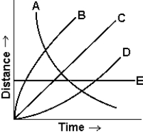 Which of the curves best describes a body moving with a constant non-zero acceleration?