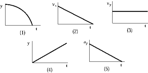 <strong> A projectile is fired horizontally in Earth gravity with an initial speed v<sub>0</sub>. In the absence of air resistance, which of the following graphs is representative of the projectile's motion?</strong> A) 1 B) 2 C) 3 D) 4 E) 5