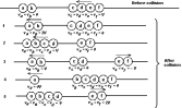 <strong> The balls shown in the figure are strung on a taut wire and slide without friction. If the balls are of equal mass, the diagram that best represents an elastic collision is</strong> A) 1 B) 2 C) 3 D) 4 E) 5