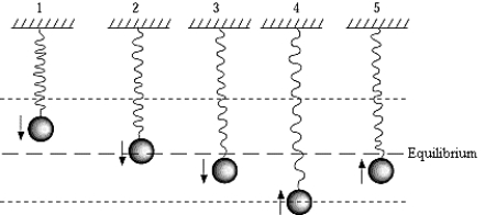 <strong> A body on a spring is vibrating in simple harmonic motion about an equilibrium position indicated by the dashed line. The figure above that shows the body with maximum acceleration is</strong> A) 1 B) 2 C) 3 D) 4 E) 5