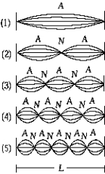 <strong> The figure represents a string of length L, fixed at both ends, vibrating in several harmonics. The 4th harmonic is shown in</strong> A) 1 B) 2 C) 3 D) 4 E) 5