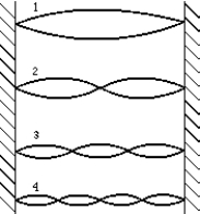 <strong> The figure shows several modes of vibration of a string fixed at both ends. The mode of vibration that represents the fifth harmonic is</strong> A) 1 B) 2 C) 3 D) 4 E) None of these is correct.