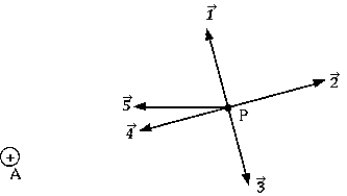 <strong> A small positive charge is located at A. The vector that gives the direction of the electric field at point P is</strong> A) B) C) D) E)