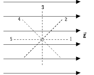 <strong> The figure depicts a uniform electric field. The direction in which the increase in the electric potential is a maximum is</strong> A) 1 B) 2 C) 3 D) 4 E) 5