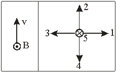 <strong> The left diagram shows a positively charged particle is moving with velocity v in a magnetic field B. Using the right diagram, the direction of the magnetic force on the particle is</strong> A) 1 B) 2 C) 3 D) 4 E) 5