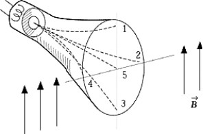 <strong> When a cathode-ray tube with its axis horizontal is placed in a magnetic field that is directed vertically upward, the electrons emitted from the cathode follow one of the dashed paths to the face of the tube. The correct path is</strong> A) 1 B) 2 C) 3 D) 4 E) 5