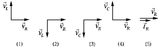 <strong> The diagram that correctly represents the phase relationship between the voltage across the resistor and the voltage across the inductor in a circuit containing an inductor L, a capacitor C, and a resistor R all connected in series is</strong> A) 1 B) 2 C) 3 D) 4 E) 5