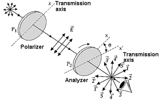 Two polarizing films are crossed with their transmission axes making an angle of \theta = 20° with each other. The vectors that represent the plane-polarized wave train passed by the second polarizing film are