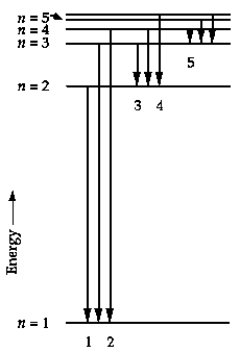 <strong> In the energy-level diagram, the line that corresponds to the longest wavelength in the Balmer series is</strong> A) 1 B) 2 C) 3 D) 4 E) 5