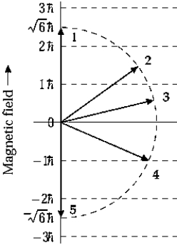 <strong> The orbital angular momentum of an electron in a D state has a magnitude of . The figure shows orientations of the angular momentum vector or an electron placed in a magnetic field in the positive z direction. The vector that represents a correct orientation when the field is applied is</strong> A) 1 B) 2 C) 3 D) 4 E) 5