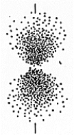 <strong> The set of quantum numbers for the probability density shown is</strong> A) n = 2, = 0, m = 0 B) n = 2, = 1, m = 0 C) n = 2, = 1, m = 1 D) n = 2, = 0, m = 1 E) n = 1, = 1, m = 0