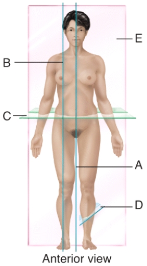 <strong>Which plane is parasagittal? </strong> A)A B)B C)C D)D E)E
