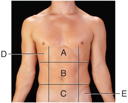 <strong>Which region is the left inguinal region? </strong> A)(a) B)(b) C)(c) D)(d) E)(e)