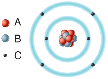<strong>In the diagram,which particles are found in the atom's nucleus?  </strong> A)A B)B C)C D)Both A and B. E)None of these choices. <div style=padding-top: 35px> 