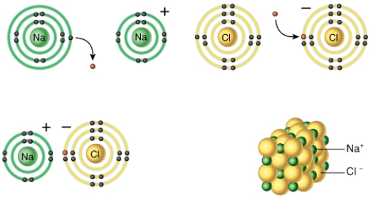 Describe the basic chemical principle that is shown in this diagram?  <div style=padding-top: 35px> 