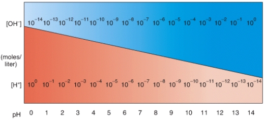 <strong>In the diagram,what pH value represents an acidic solution?  </strong> A)12 B)10 C)8 D)6 E)None of these choices. <div style=padding-top: 35px> 