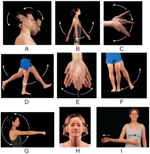 Which of the following labeled panels in the figure shows hyperextension?