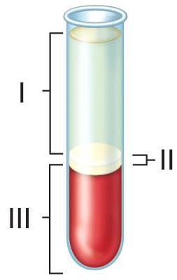 <strong>Which of the following types of proteins is present at the lowest percentage of the blood component labeled I in the figure? </strong> A)globulin B)albumin C)fibrinogen D)all of the protein listed are found in equal percentages E)none of proteins listed are found in component I