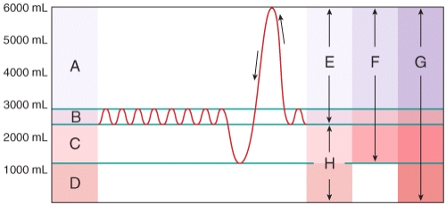 What area in the figure represents a very deep exhalation,much greater than the tidal volume?