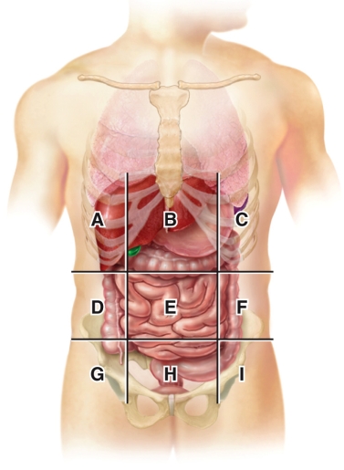 <strong>According to the diagram,an appendectomy would be performed </strong> A)B B)D C)G D)H E)I