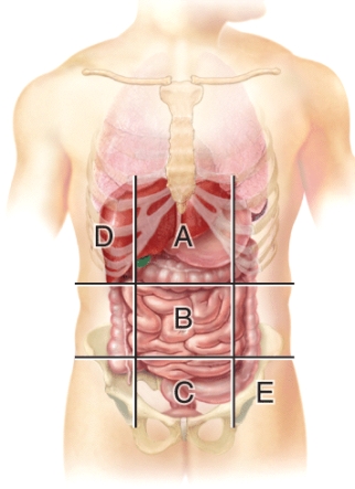 <strong>A patient has a laparoscopic cholecystectomy (gallbladder removal).Which abdominopelvic region would the doctor perform surgery </strong> A)A B)B C)C D)D E)E