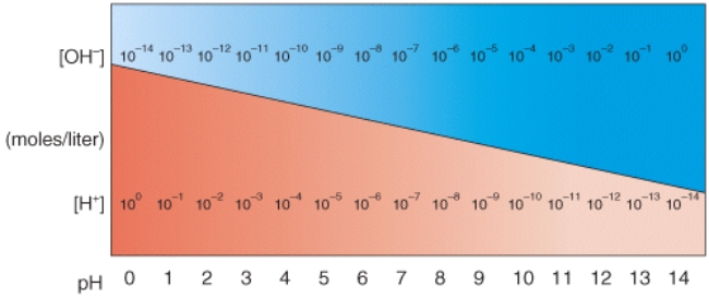 In the diagram,what pH value represents an acidic Solution?
