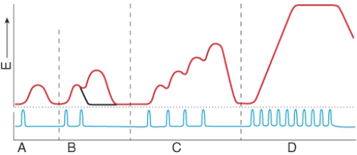<strong>Which portion of this myogram shows a single twitch of the muscle? </strong> A)A B)B C)C D)D E)none of these choices