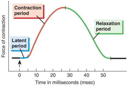 <strong>Diltiazem is a calcium channel blocker,reducing free intracellular calcium.What stage of the myogram would be affected immediately? </strong> A)Latent period B)Contraction period C)Relaxation period D)All myogram stages are affected