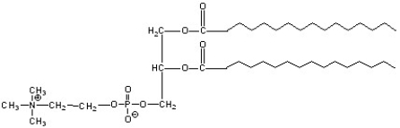 <strong>What type of lipid is the following compound? </strong> A)steroid B)phospholipid C)glycolipid D)fatty acid E)triglyceride