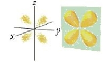 <strong>Identify the orbital.  </strong> A) d orbital B) d<sub>xy</sub> orbital C) p<sub>x</sub> orbital D) f orbital E) p<sub>y</sub> orbital <div style=padding-top: 35px> 