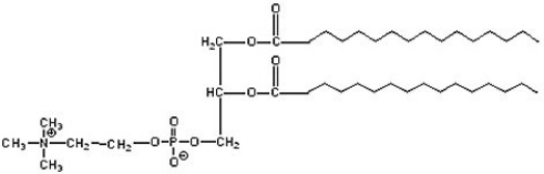 <strong>What type of lipid is the following compound? </strong> A) steroid B) phospholipid C) glycolipid D) fatty acid E) triglyceride