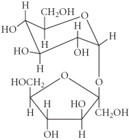 <strong>Choose the monosaccharide from the compounds below.</strong> A) B) C) D) E)