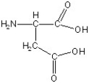 <strong>Match the following.</strong> A)glycine B)aspartic acid C)alanine D)serine E)phenylalanine F)lysine 1) 2) 3) 4) 5) 6)