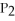 <strong>To solve problems using Boyle's Law,which mathematical equation should be used?</strong> A) = B) = C) = D) = E)none of the above